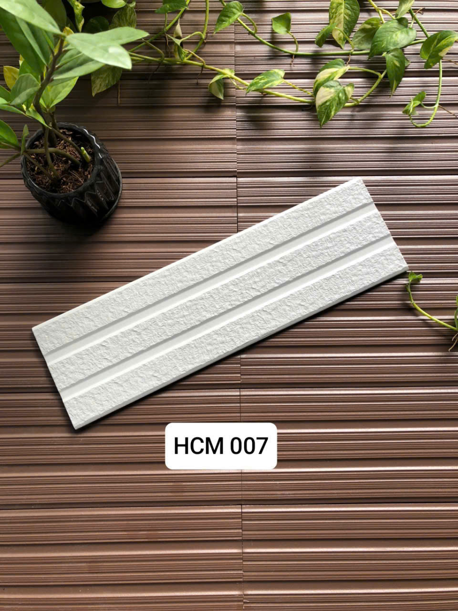 Việt Nhật HCM 007